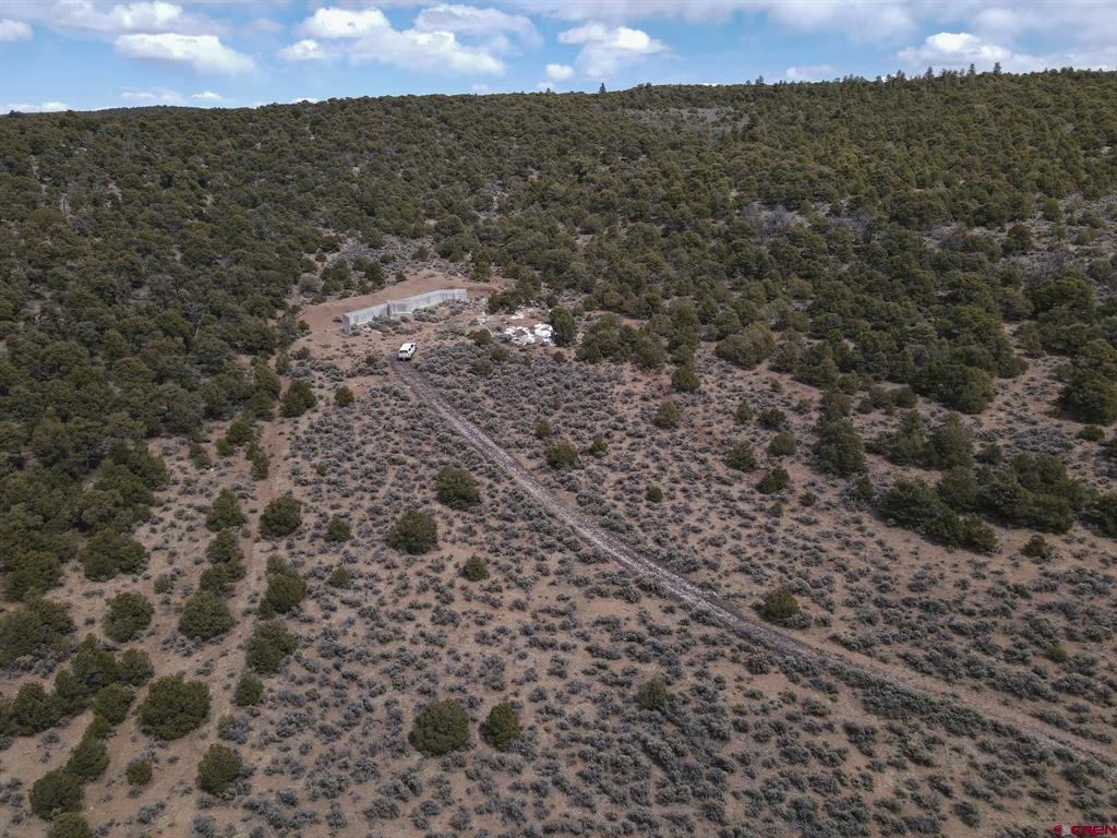 16511 Bull Elk Trail San Luis CO 81152