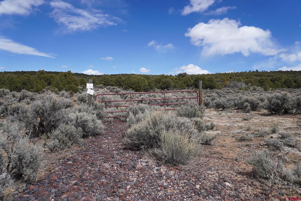 16511 Bull Elk Trail San Luis CO 81152