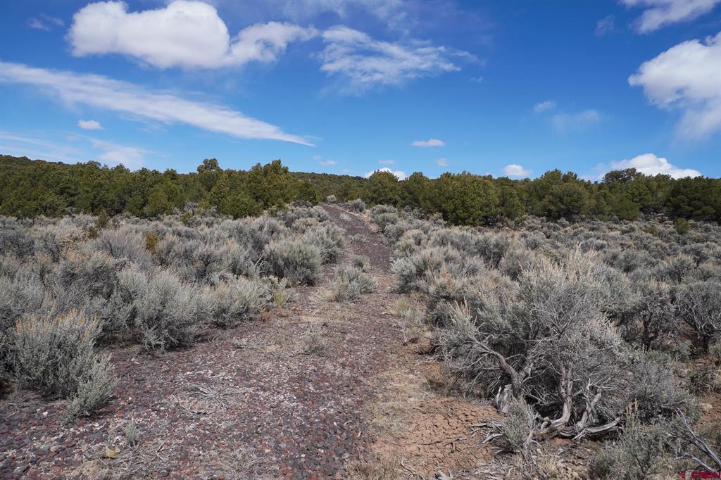 16511 Bull Elk Trail San Luis CO 81152