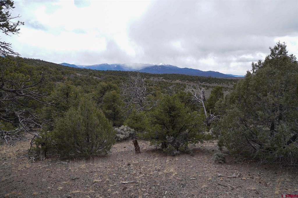 16511 Bull Elk Trail San Luis CO 81152