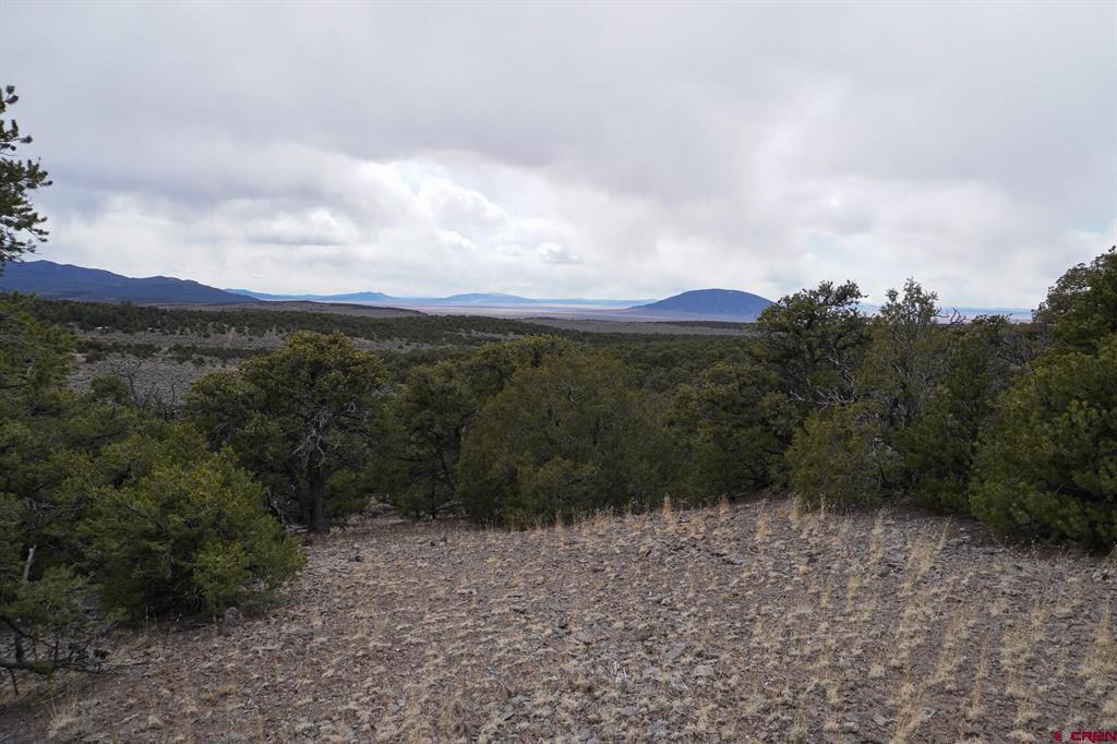 16511 Bull Elk Trail San Luis CO 81152