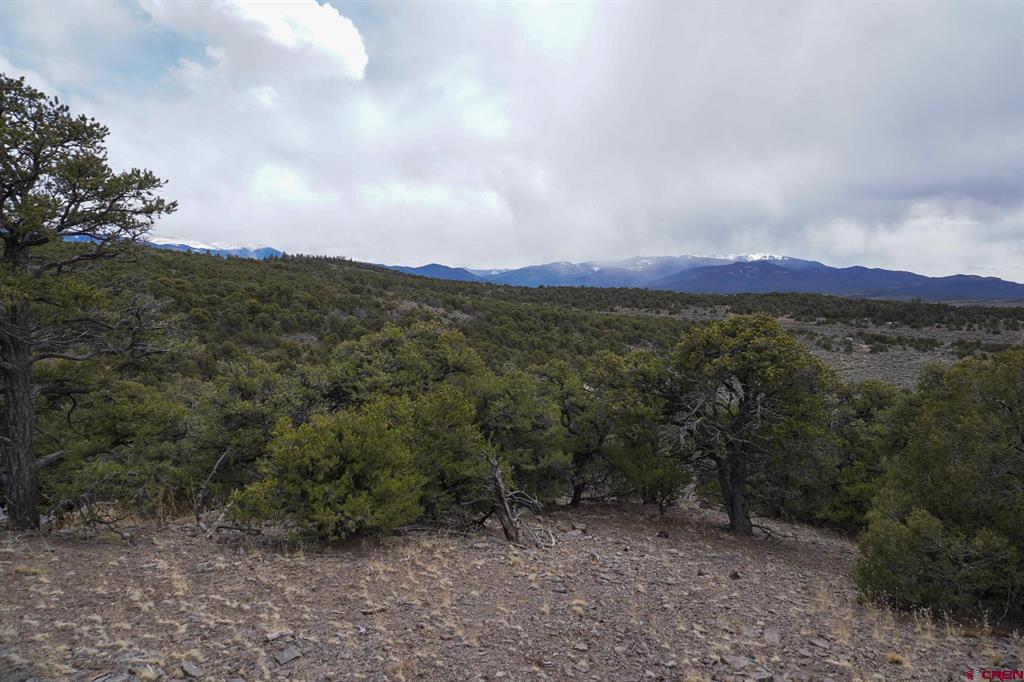 16511 Bull Elk Trail San Luis CO 81152