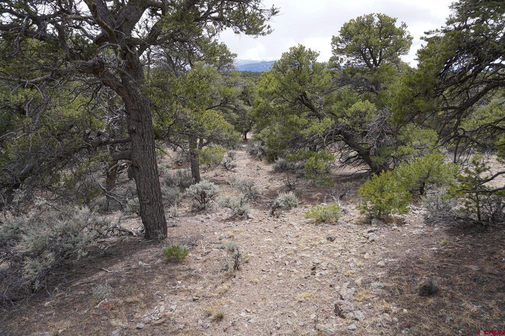 16511 Bull Elk Trail San Luis CO 81152