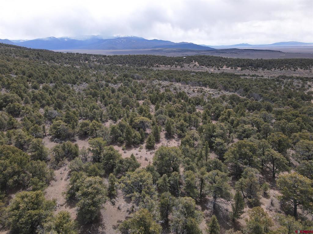 16511 Bull Elk Trail San Luis CO 81152