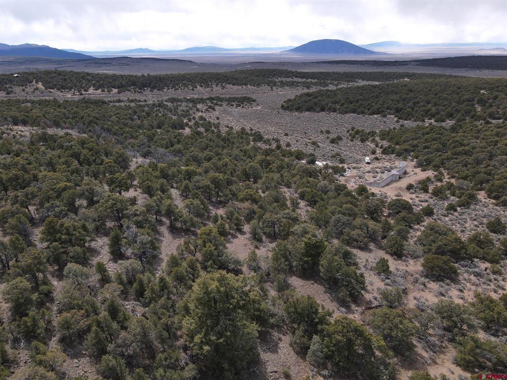 16511 Bull Elk Trail San Luis CO 81152