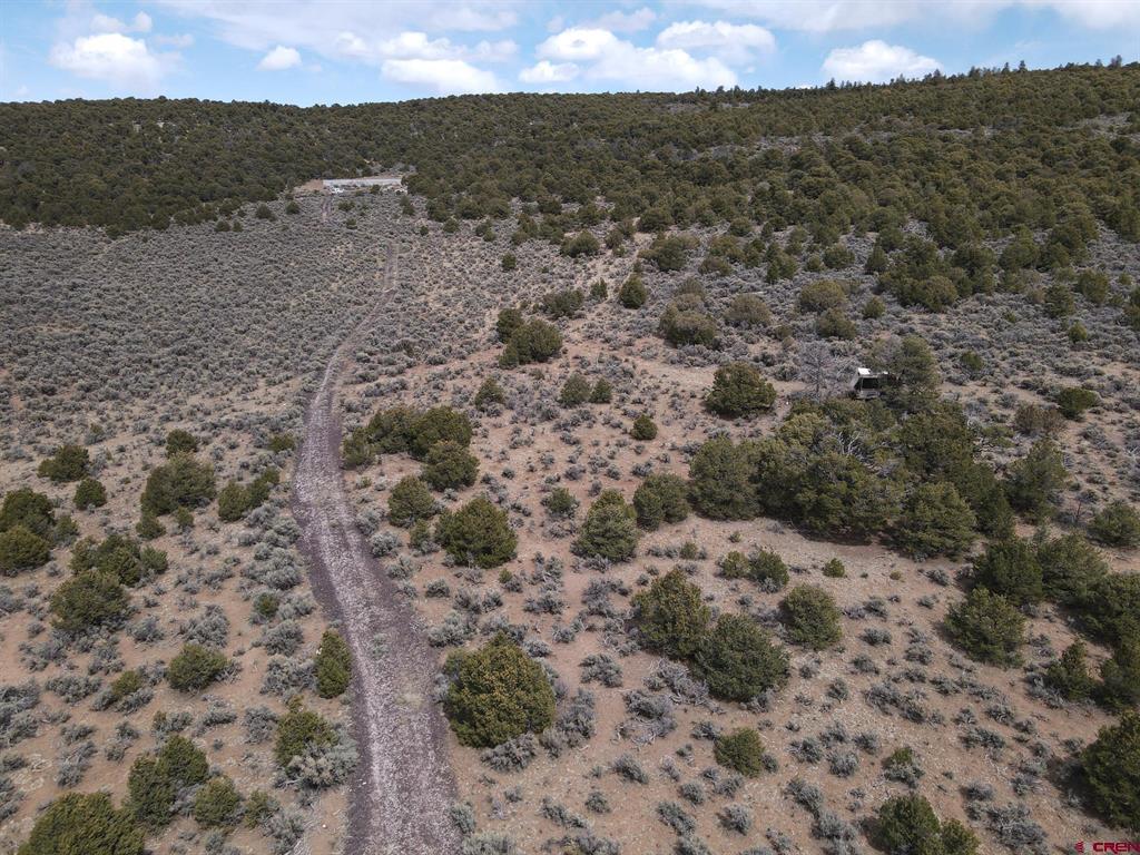 16511 Bull Elk Trail San Luis CO 81152