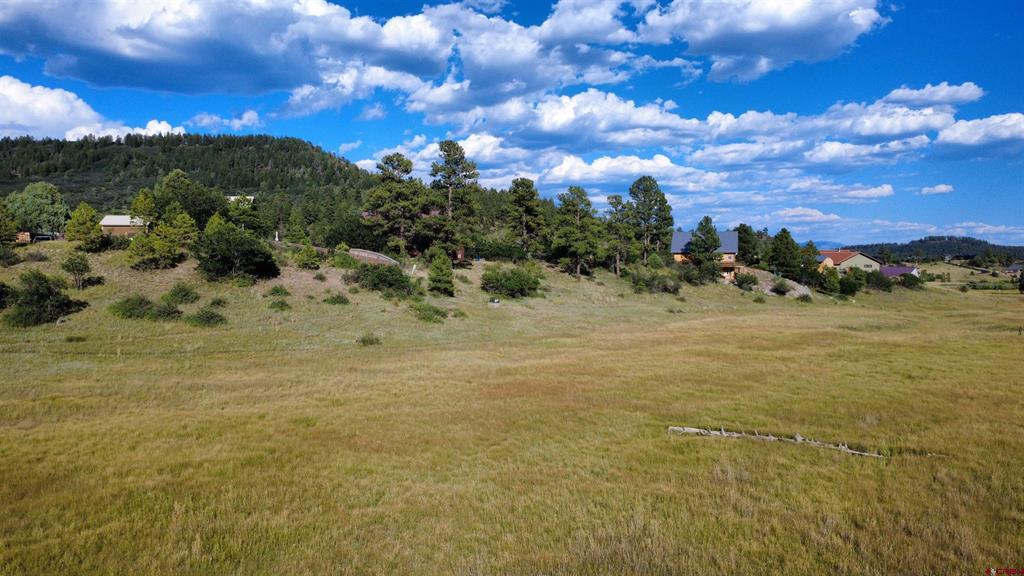 109 Snow Circle Pagosa Springs CO 81147