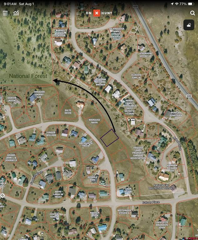 109 Snow Circle Pagosa Springs CO 81147