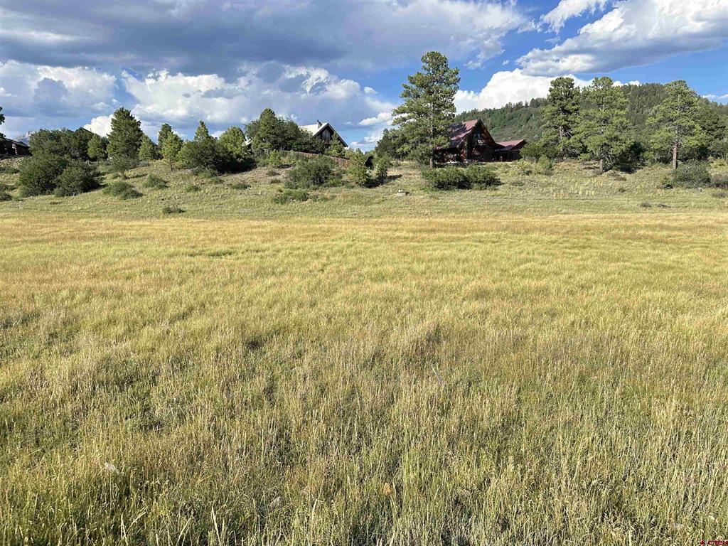 109 Snow Circle Pagosa Springs CO 81147