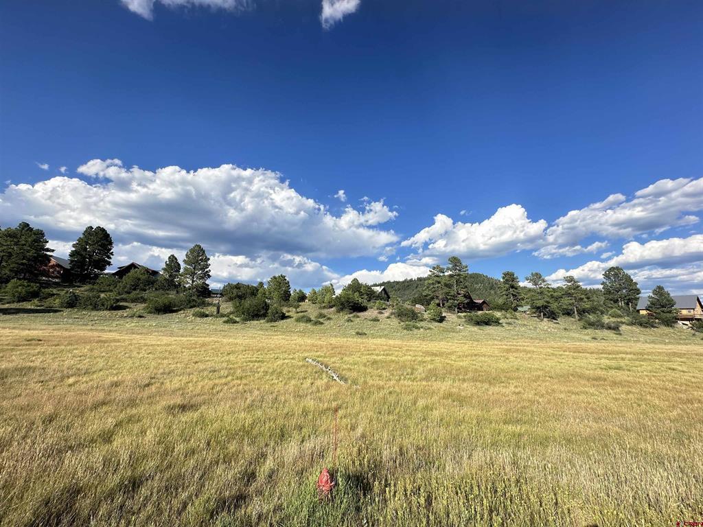 109 Snow Circle Pagosa Springs CO 81147