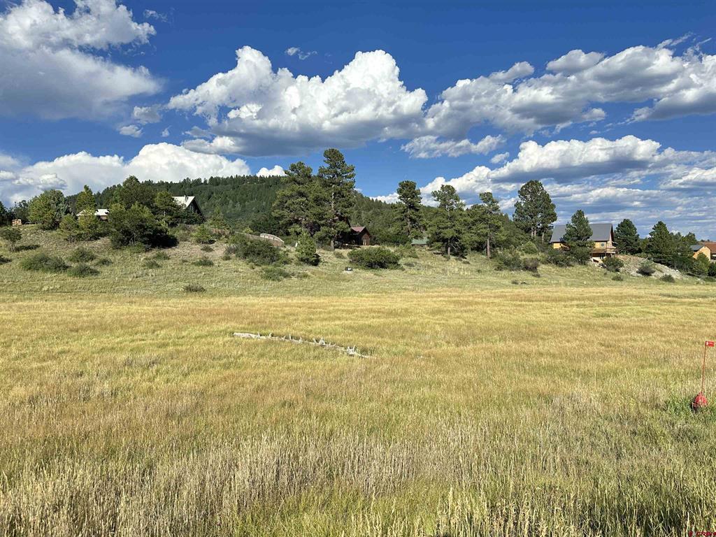 109 Snow Circle Pagosa Springs CO 81147