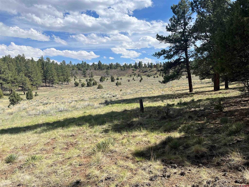 Tbd White Tail Lane Ridgway CO 81432