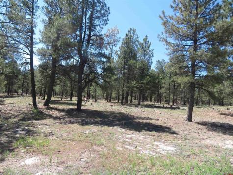 1445 Trails Pagosa Springs CO 81147