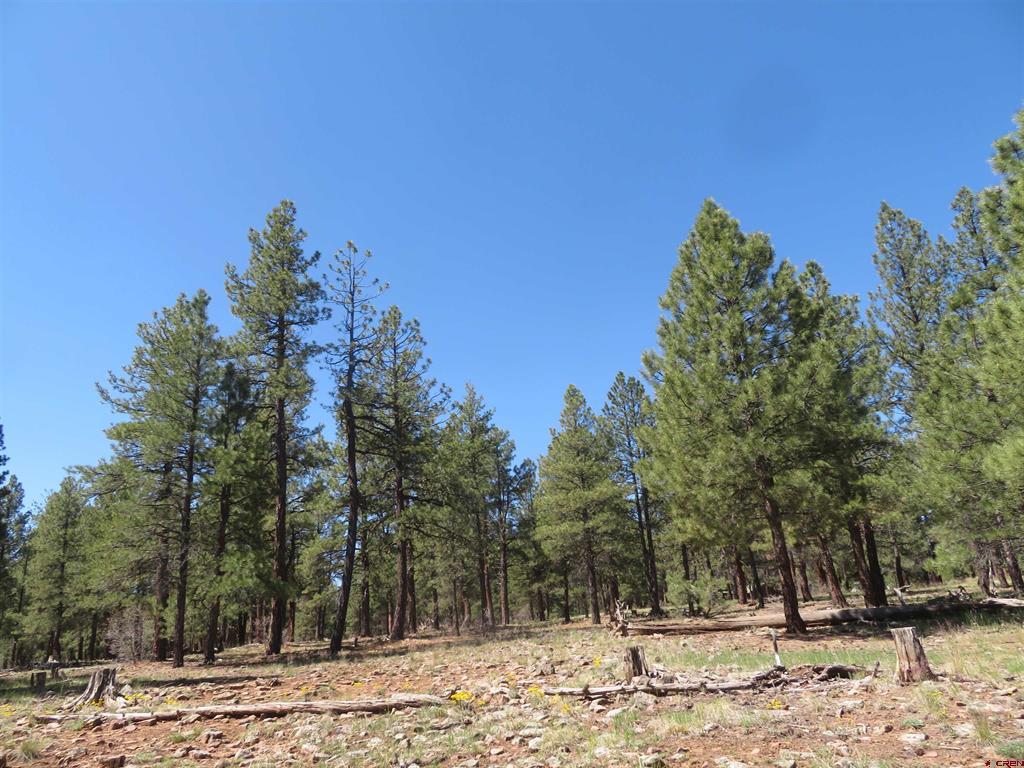 1445 Trails Boulevard Pagosa Springs CO 81147