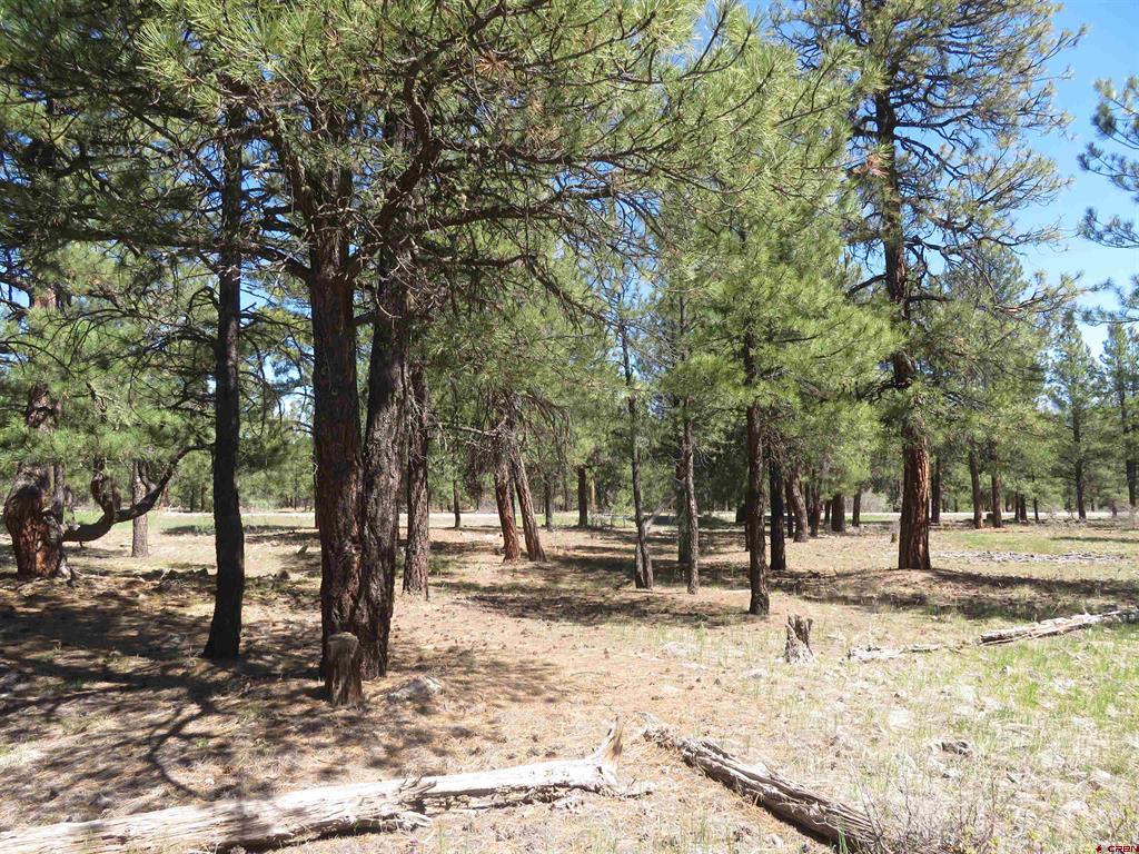 1445 Trails Boulevard Pagosa Springs CO 81147