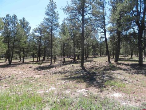 1445 Trails Pagosa Springs CO 81147