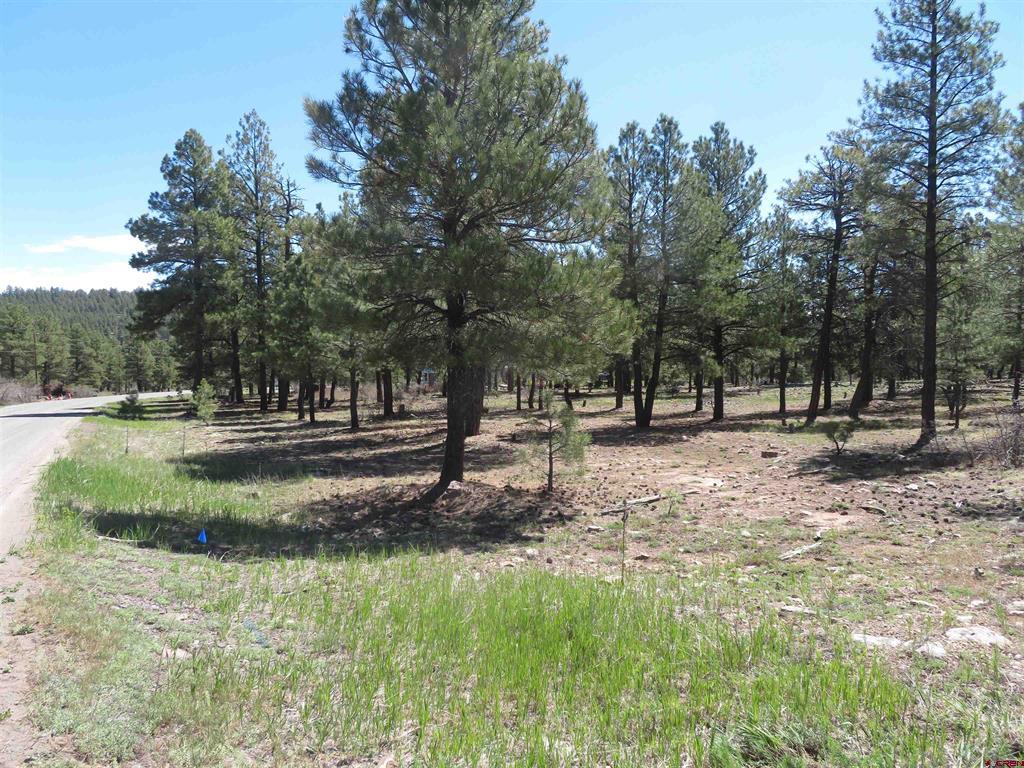 1445 Trails Boulevard Pagosa Springs CO 81147