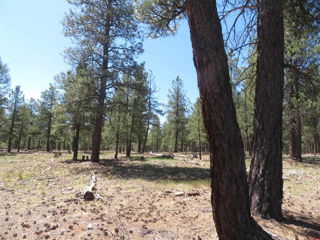 1445 Trails Boulevard Pagosa Springs CO 81147