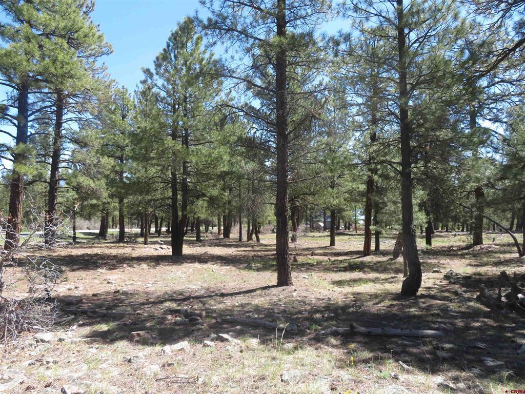 1445 Trails Boulevard Pagosa Springs CO 81147