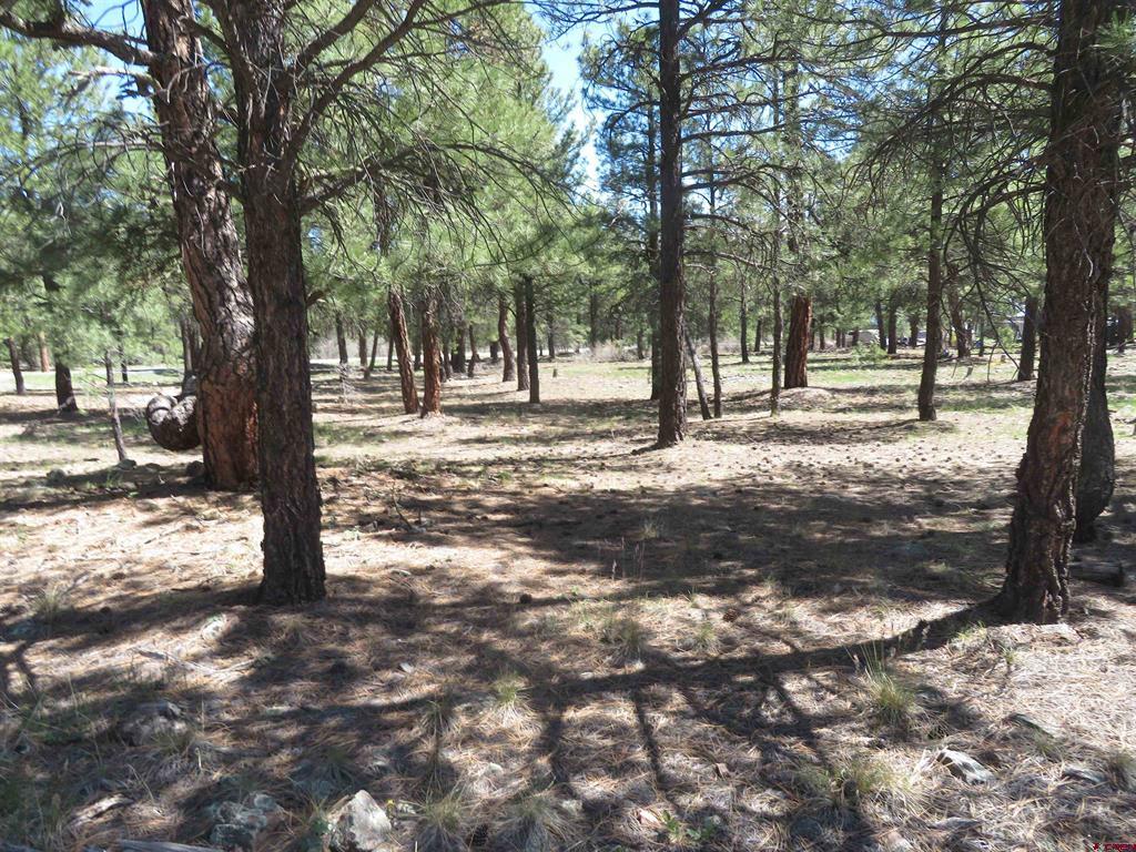 1445 Trails Boulevard Pagosa Springs CO 81147