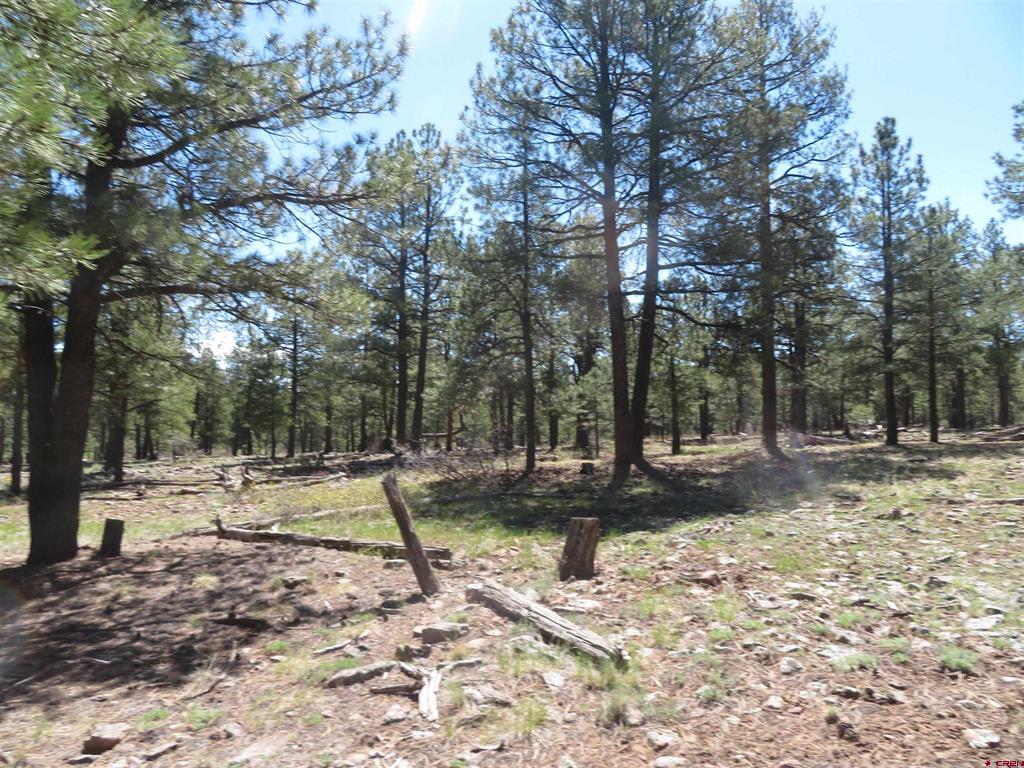 1445 Trails Boulevard Pagosa Springs CO 81147