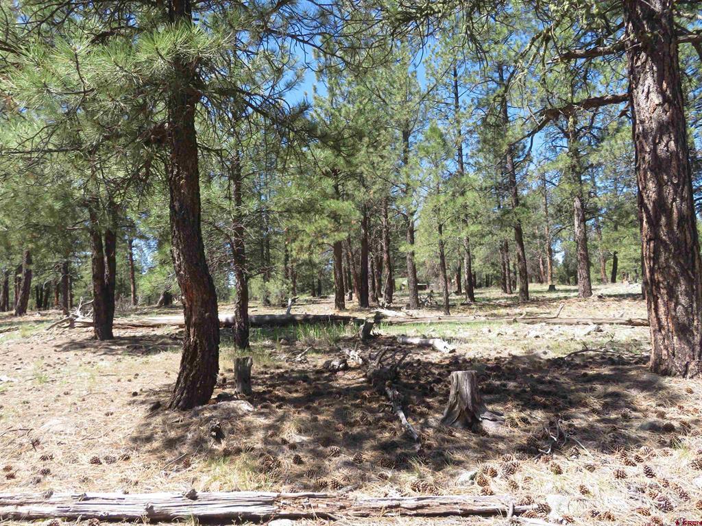 1445 Trails Boulevard Pagosa Springs CO 81147