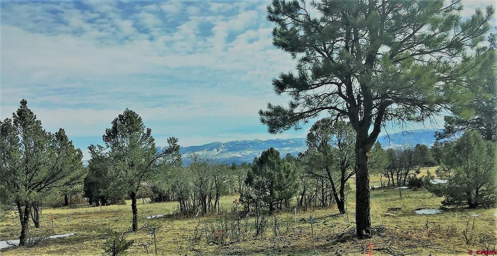 Tbd S Badger Trail Ridgway CO 81432
