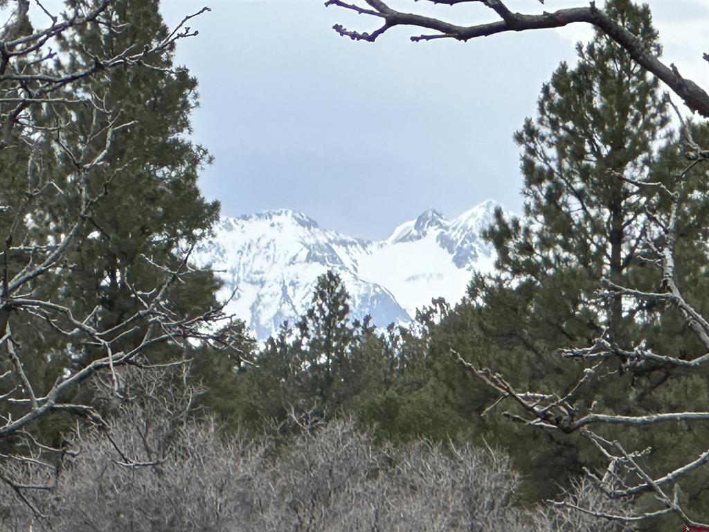 Tbd S Badger Trail Ridgway CO 81432