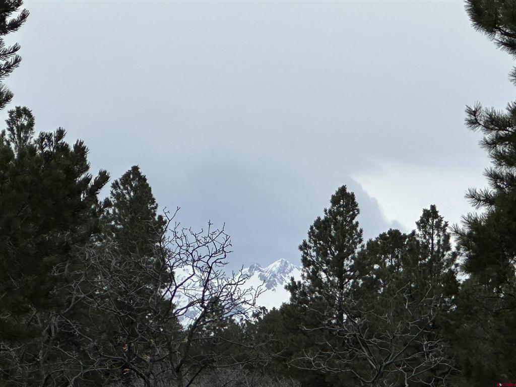 Tbd S Badger Trail Ridgway CO 81432