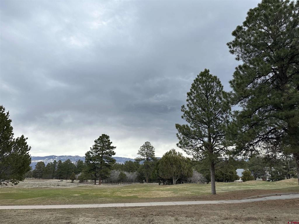 Tbd S Badger Trail Ridgway CO 81432