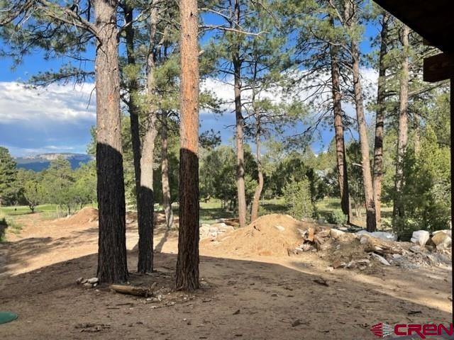 Tbd S Badger Trail Ridgway CO 81432