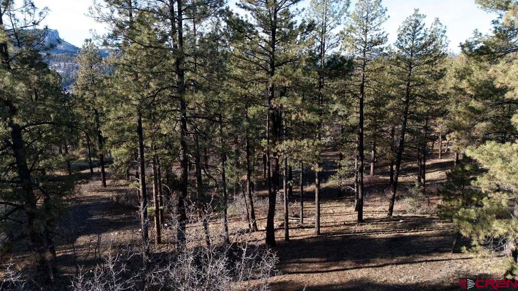 957 Starling Circle Pagosa Springs CO 81147