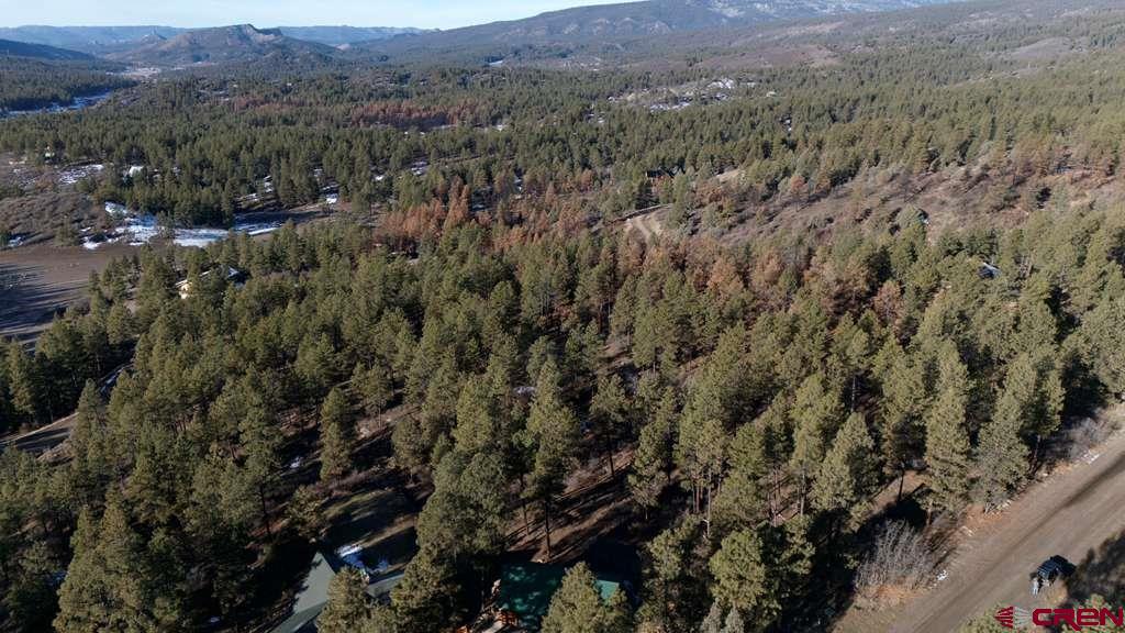 957 Starling Circle Pagosa Springs CO 81147