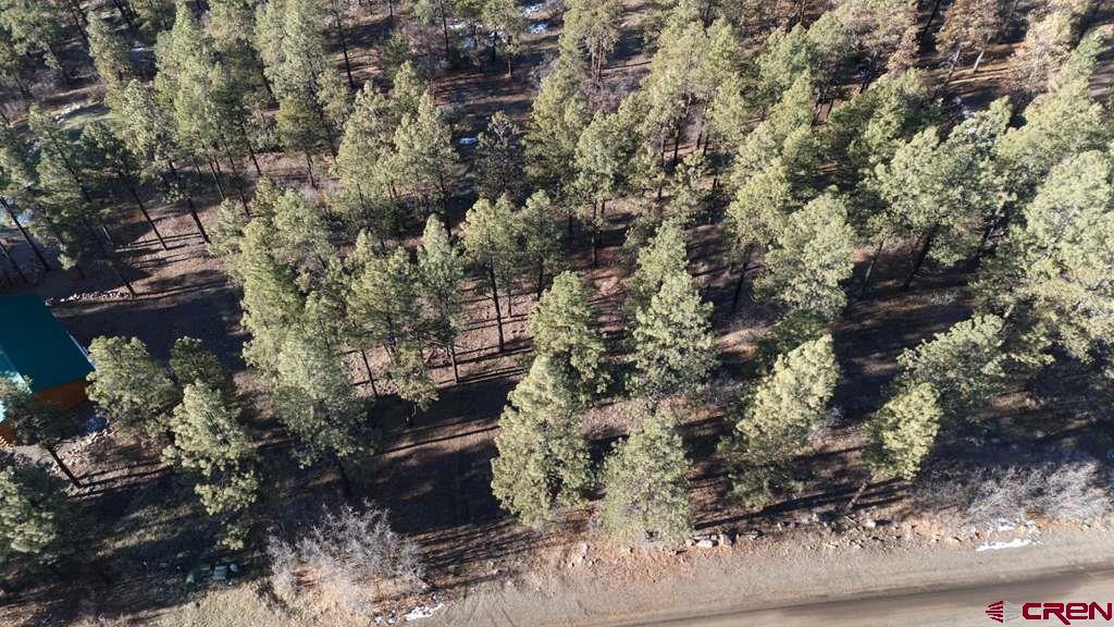 957 Starling Circle Pagosa Springs CO 81147