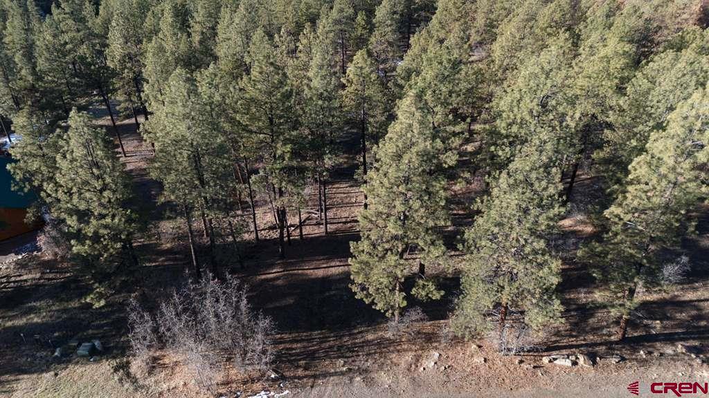 957 Starling Circle Pagosa Springs CO 81147