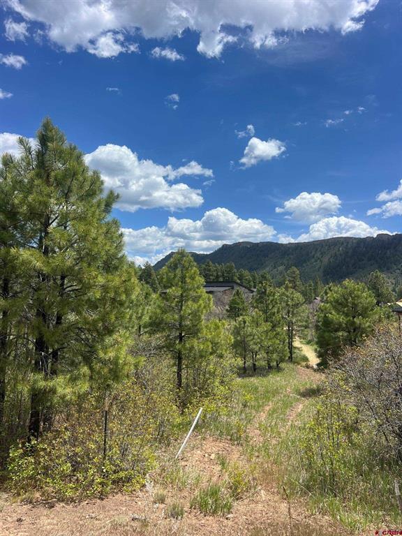 29 Edgemont Meadows Road Durango CO 81301