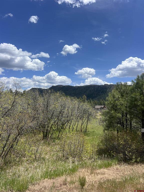 29 Edgemont Meadows Road Durango CO 81301