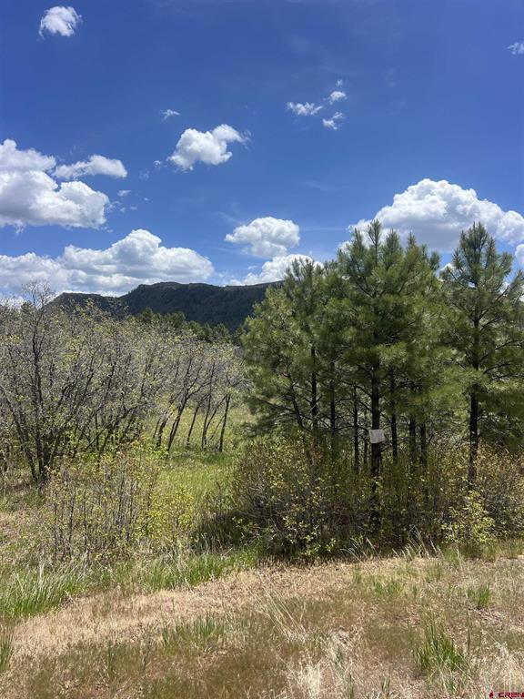 29 Edgemont Meadows Road Durango CO 81301