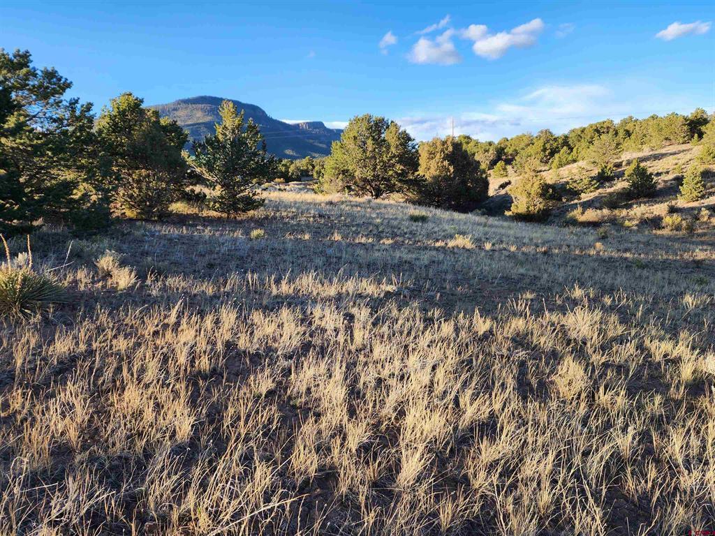 512 Kit Carson Road South Fork CO 81154