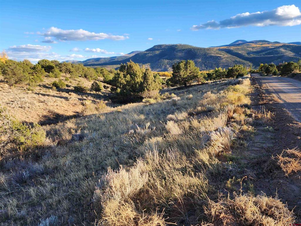 512 Kit Carson Road South Fork CO 81154
