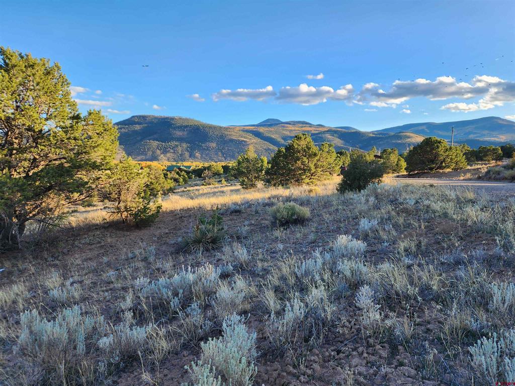 512 Kit Carson Road South Fork CO 81154