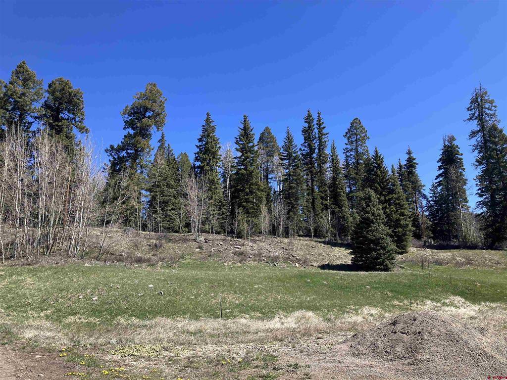222 Lost Valley Drive Creede CO 81130