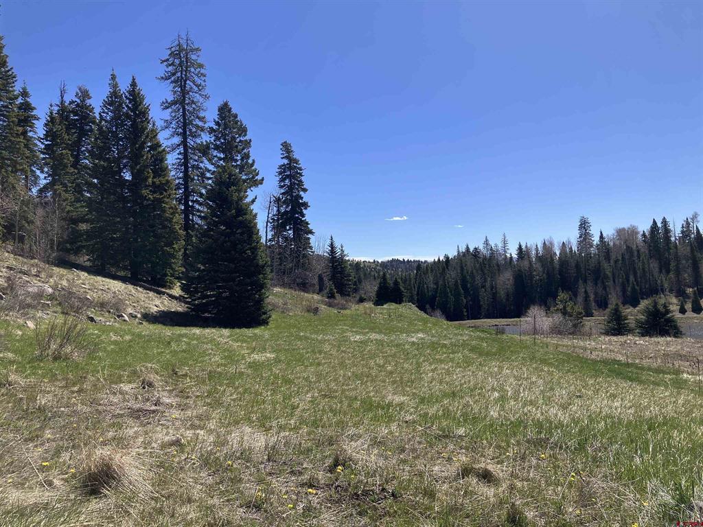 222 Lost Valley Drive Creede CO 81130