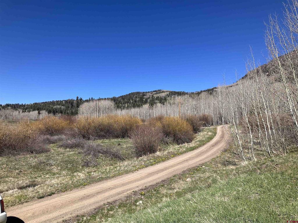 222 Lost Valley Drive Creede CO 81130