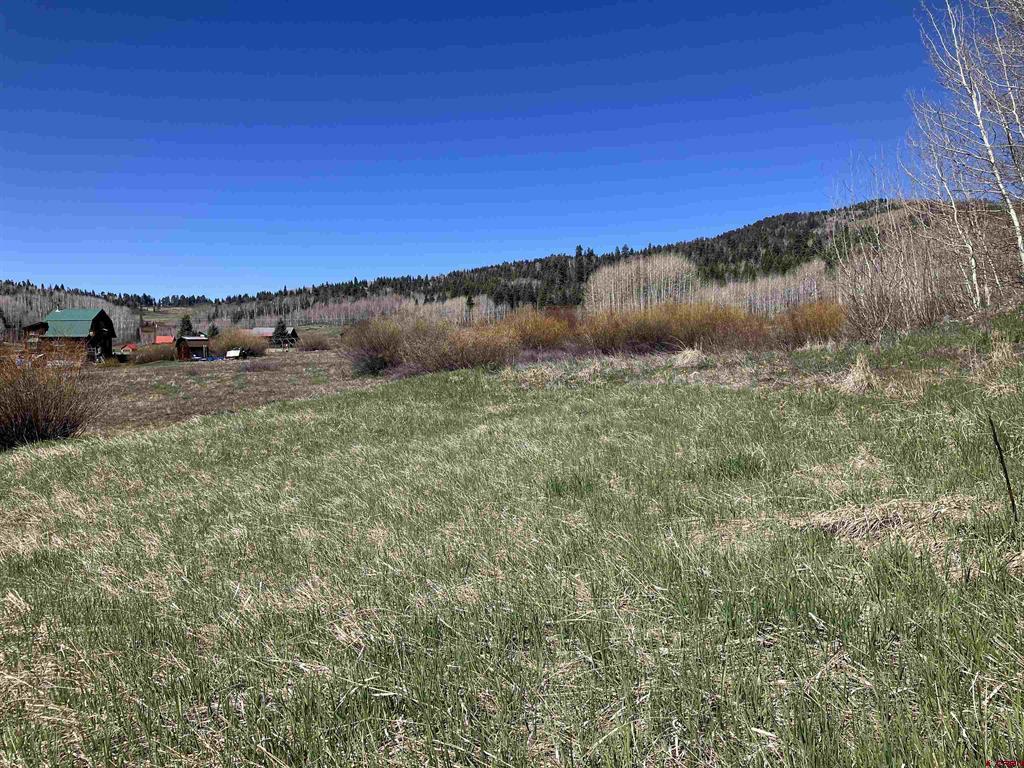 222 Lost Valley Drive Creede CO 81130