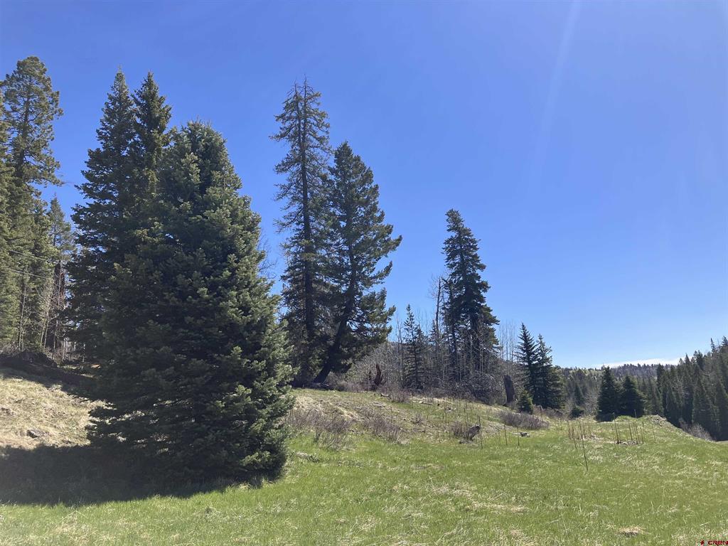 222 Lost Valley Drive Creede CO 81130