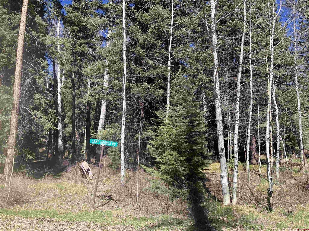 222 Lost Valley Drive Creede CO 81130