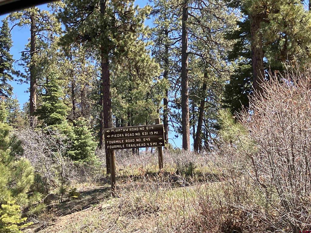 222 Lost Valley Drive Creede CO 81130