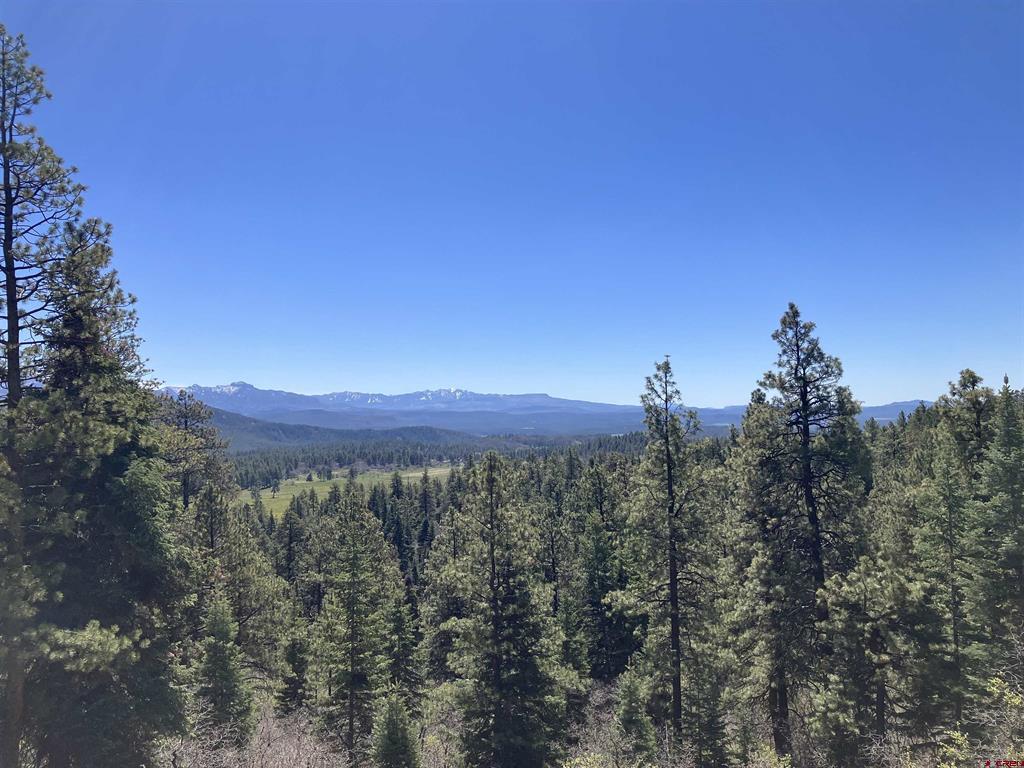 222 Lost Valley Drive Creede CO 81130