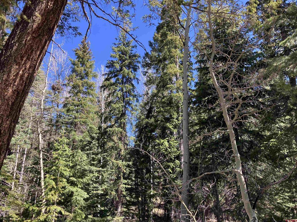 222 Lost Valley Drive Creede CO 81130